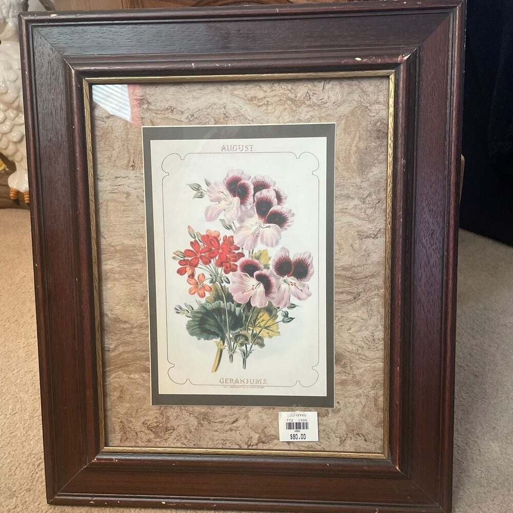 Windsor Art & Mirror Co. Vintage Framed Botanical Print August Geraniums
